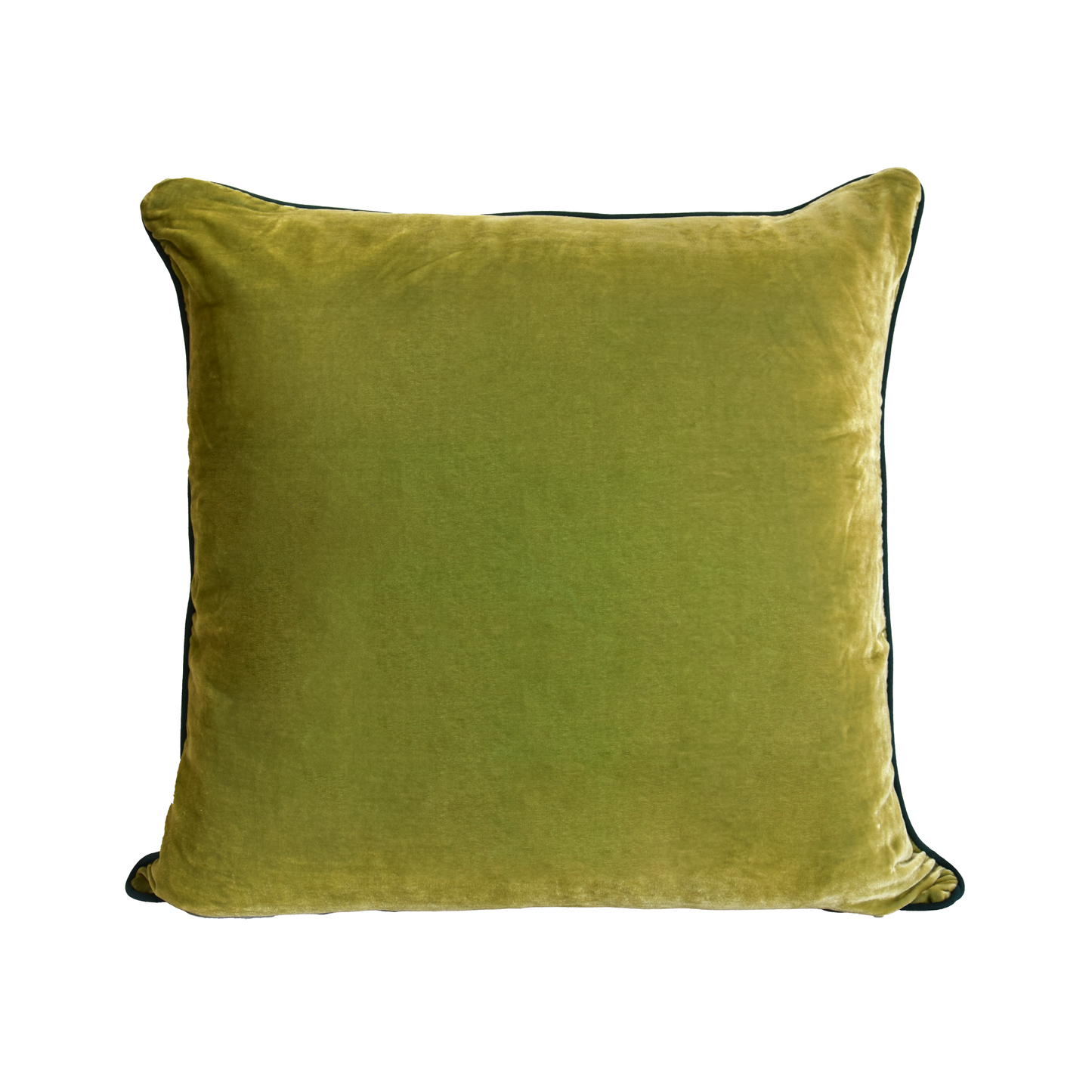 Green Bentenan and Italian Velour Cushion